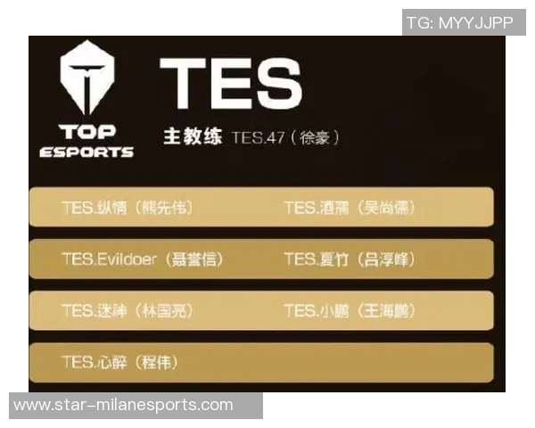 esports数据赵伟畅谈王者荣耀发展历程与未来展望的深度专访回顾